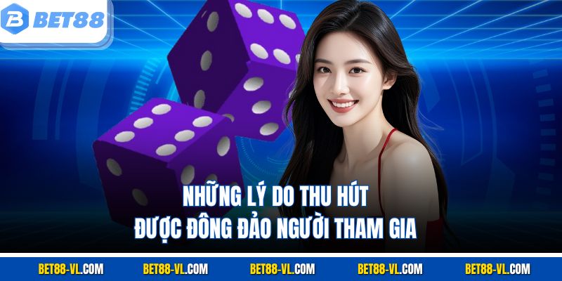 Những lý do thu hút được đông đảo người tham gia